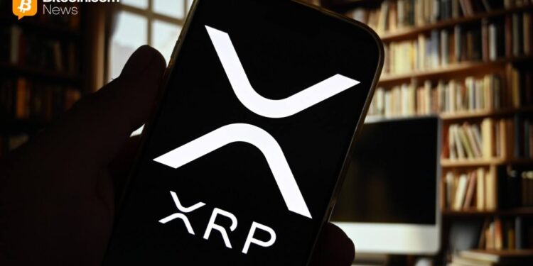 XRP Ledger Foundation Names Ripple’s David Schwartz Honorary Board Member
