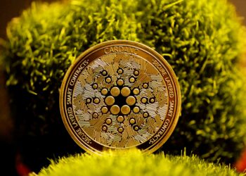 Cardano Just Took Another Major Hit Amid Zombie Chain Allegations