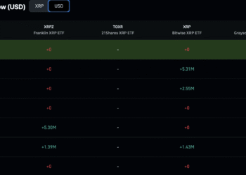 Binance XRP Outflows Signal Accumulation While MoneyGram’s Stellar Move Is Old News