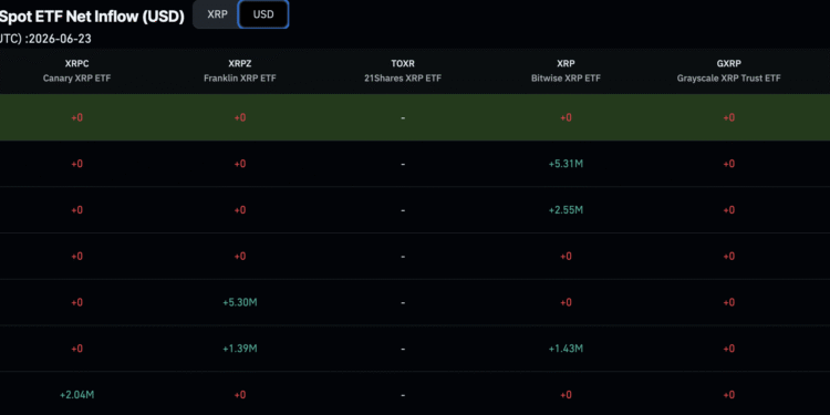Binance XRP Outflows Signal Accumulation While MoneyGram’s Stellar Move Is Old News