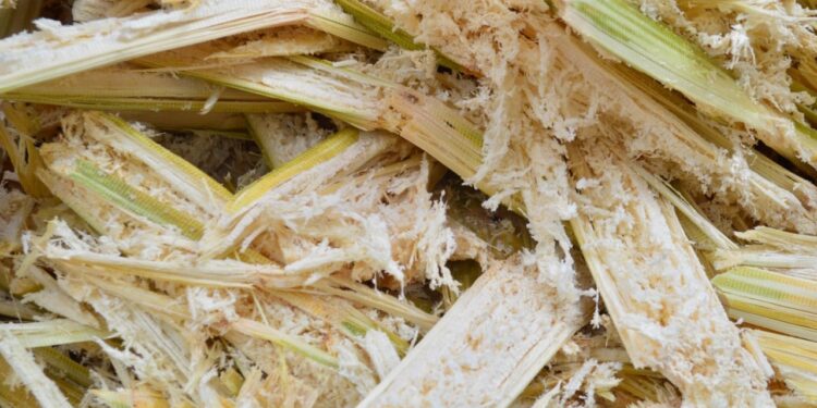 Sugarcane-Powered Bitcoin Mine to Launch in Brazil With Tether Backing