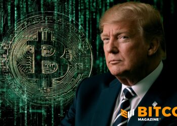 Trump’s Quantum Push Pressures Bitcoin Security: Moody’s