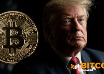 ‘Big Fan Of Crypto,’ Eyes Bitcoin For Trump Accounts