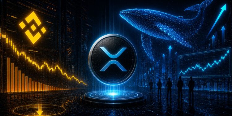 Binance Auto-Burn Destroys 1.6M BNB Worth $932M