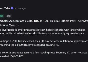 The Dramatic Shift in Bitcoin Ownership Splitting the Market