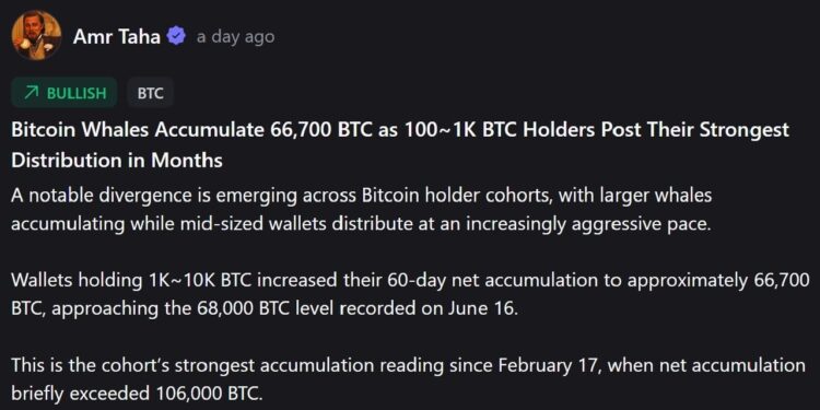 The Dramatic Shift in Bitcoin Ownership Splitting the Market