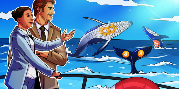Bitcoin Whales Due Credit for $64,000 BTC Price Rebound, Says CryptoQuant