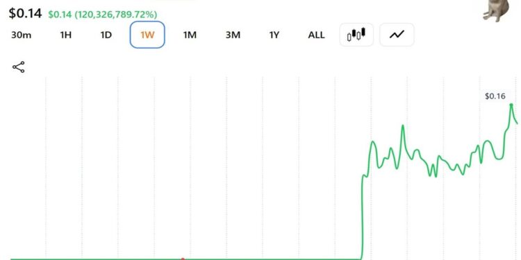 This Trader Sold His CASHCAT for $711 Instead of Retiring: Here’s the Math