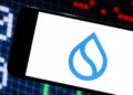 Sui’s Hashi Testnet Goes Live, Targeting a Slice of Bitcoin’s $1.4 Trillion Market