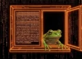 I Scanned The Entire Bitcoin Blockchain For Images. What I Found Will Shock You