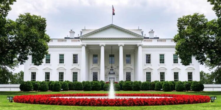 Trump Requested Democratic SEC Candidates, but No Names Arrived, White House Says