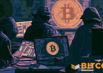 BTCPay Server Offers 3 BTC Bounty