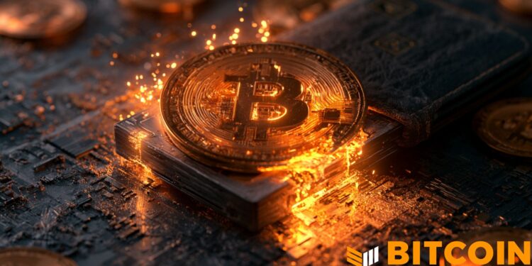 BitBox Warns Bitcoiners After Discovering ‘Severe’ Vulnerability