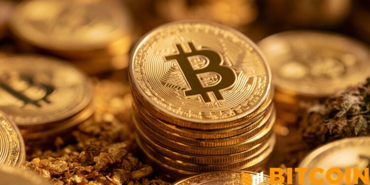 Edelman Financial, Tudor Investment Reveal Significant Bitcoin Holdings