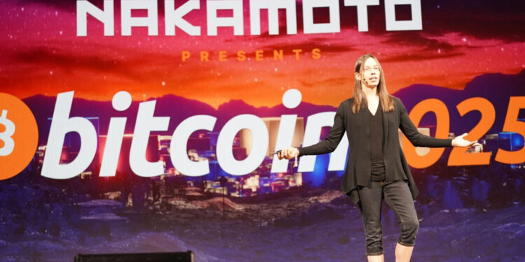 Bitcoin Could Attract More Buyers, Says Lyn Alden