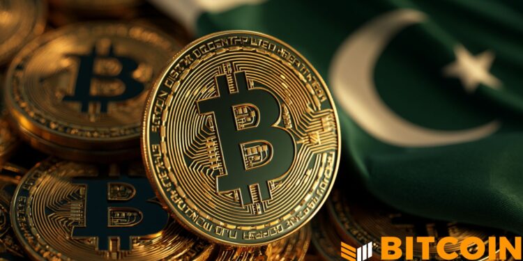 Pakistan’s Crypto Pitch: “Come Build Here”