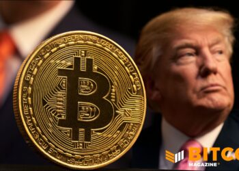 Forget The Trump Bump, Bitcoin Would Be Fine Under Democrats: VanEck