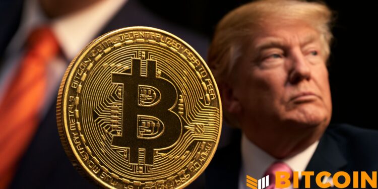 Forget The Trump Bump, Bitcoin Would Be Fine Under Democrats: VanEck