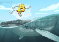 Bitcoin Whales Signal Possible Bear Market Bottom