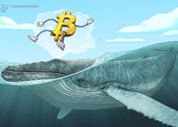 Bitcoin Whales Signal Possible Bear Market Bottom