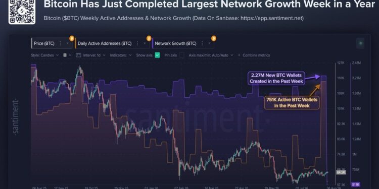 Bitcoin Wallets Spike to 2026 High as Coldcard Hack Fallout Spreads
