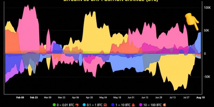 Bitcoin Whales Add 43,000 BTC, Ending Months-Long Selling Spree – Bitcoin News