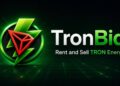 Rent TRON Energy and Reduce USDT Fees