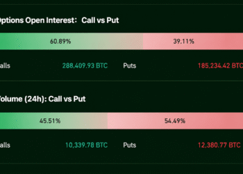 Options Bets Turn Defensive Ahead of a Bitcoin Price Showdown