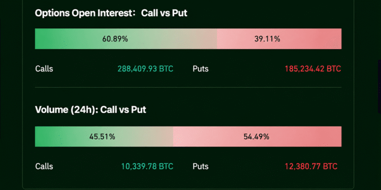 Options Bets Turn Defensive Ahead of a Bitcoin Price Showdown