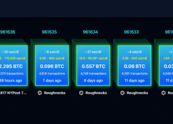 Replay Attack Alarm Grows as BIP-110 Backers Brand Bitcoin ‘Spamcoin’
