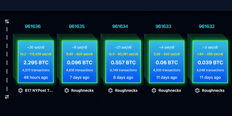 Replay Attack Alarm Grows as BIP-110 Backers Brand Bitcoin ‘Spamcoin’