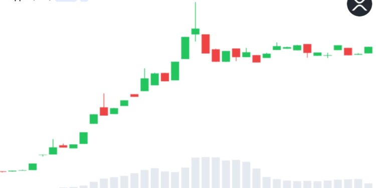 Bitwise XRP ETF Trading Volume Tops $200M Across Three Sessions