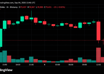 Bitcoin Price Plunges From $82K as $78,000 Becomes the Line