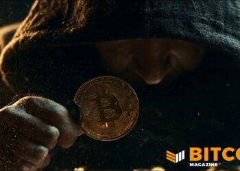 Ringleader Of $245M Bitcoin Theft Pleads Guilty