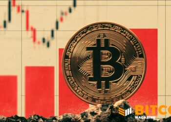 Bitcoin Rallies Over $81,000 And Brings Stocks With It
