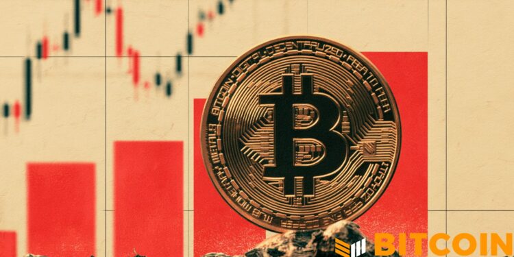 Bitcoin Rallies Over $81,000 And Brings Stocks With It