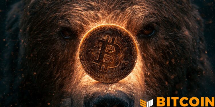 Bitcoin Bear Market May Not Yet Be Over, Says Fidelity