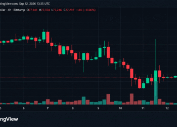 Bitcoin Price Takes a $3,215 Ride Just to Land Back at $77K
