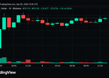 Bitcoin Price Teeters Near $80K as Momentum Starts to Crack