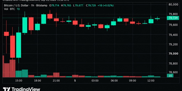 Bitcoin Price Teeters Near $80K as Momentum Starts to Crack