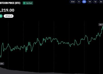 Bitcoin Reclaims $87K as Bull Market Momentum Builds