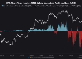 Bitcoin’s $9.07B Whale Profit Record Puts Rally Floor to Test