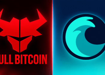 Liquid Hack Leaves Bull Bitcoin Users Facing 30-Day Wait to Reclaim BTC – Bitcoin News