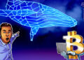 Bitcoin Short-Term Holder Whales Sit on Record $9 Billion Unrealized Gains