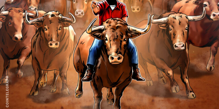 Crypto’s Wild Market Swings Are Fading, Solstice CEO Says