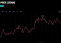 Trader Bought STONK at a $1M Market Cap and Walked Away With $320K Profit