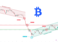 Bitwise And Vise Bring Crypto Model Portfolios To Financial Advisors