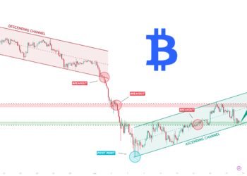 Bitwise And Vise Bring Crypto Model Portfolios To Financial Advisors