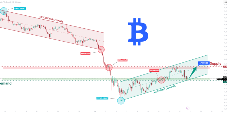 Bitwise And Vise Bring Crypto Model Portfolios To Financial Advisors