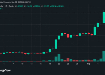Bitcoin Rises as ZEC Deliver Strong Gains